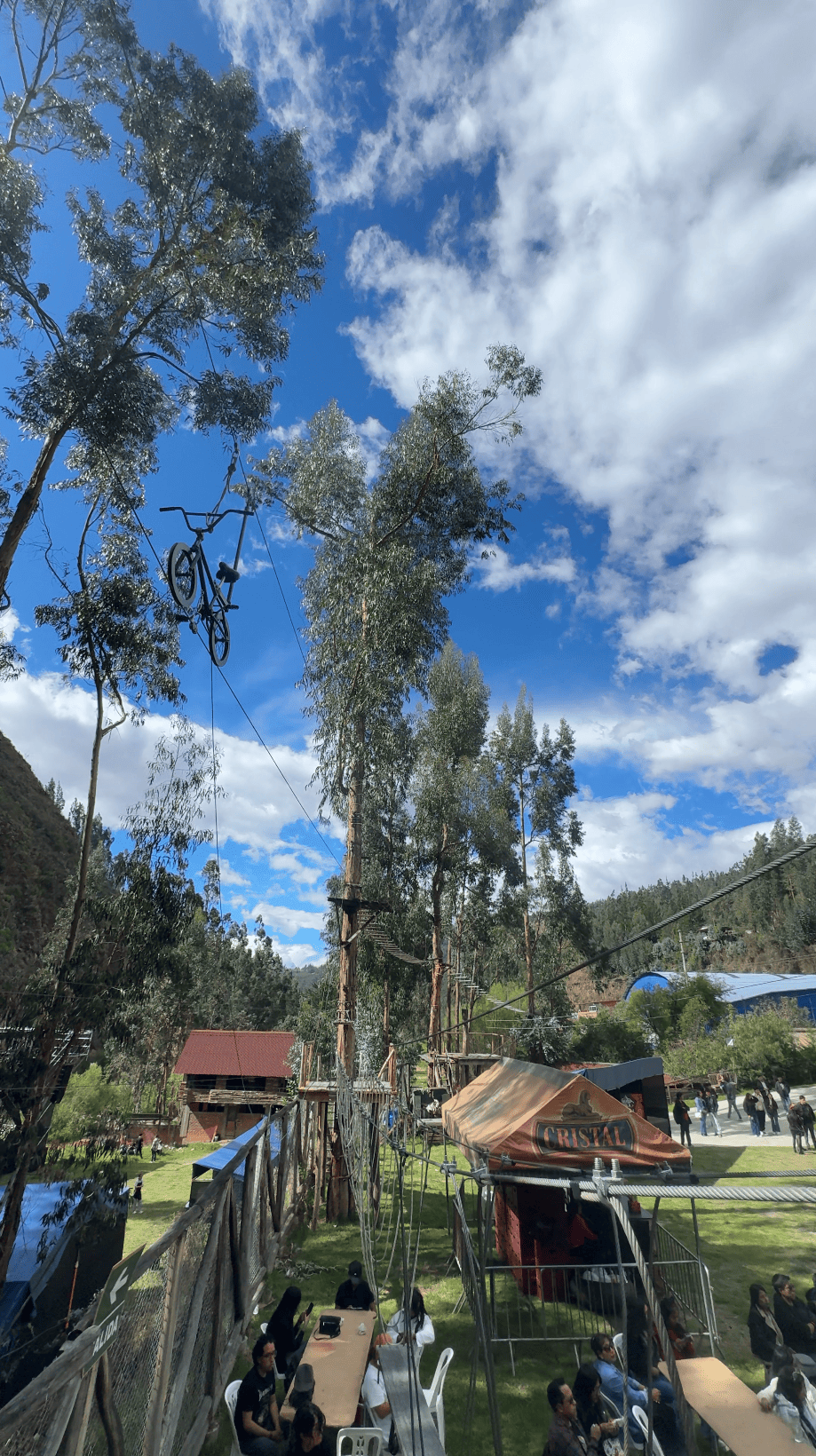 Diseño de circuitos de arborismo y puentes entre árboles